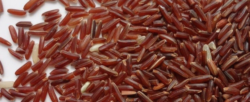 Công dụng của gạo lức: giảm cân khỏe mạnh - Hoa Thien Thao Cosmetics