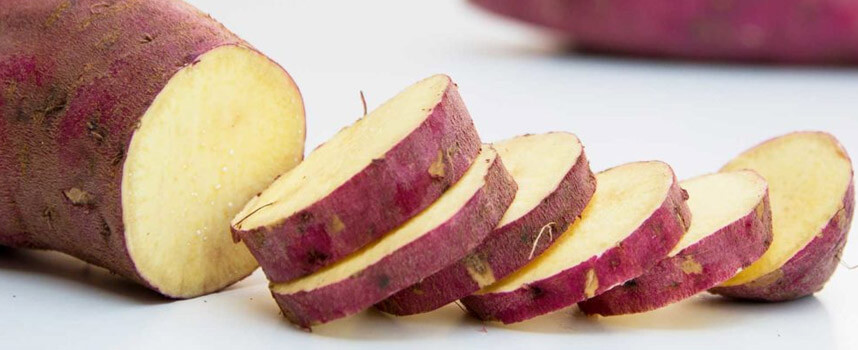 Da khô sạm nên bổ sung ngay 9 loại thức ăn tốt cho da - Hoa Thiên Thảo