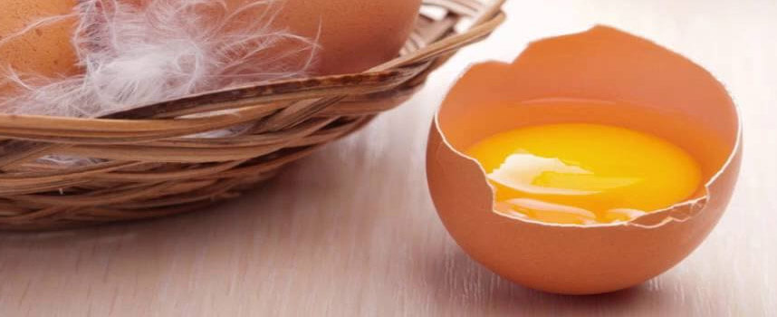 Da khô sạm nên bổ sung ngay 9 loại thức ăn tốt cho da - Hoa Thiên Thảo