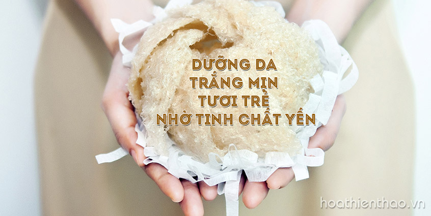 Da trắng mịn hết nám nhờ tinh chất yến