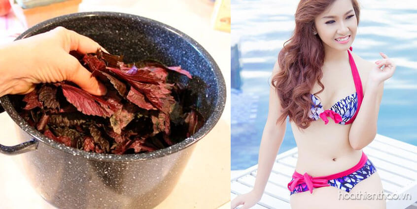 Da trắng thần kỳ nhờ tắm nước lá tía tô