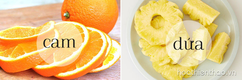 Da trắng, tóc đen, dáng thon nhờ uống nước này mỗi ngày