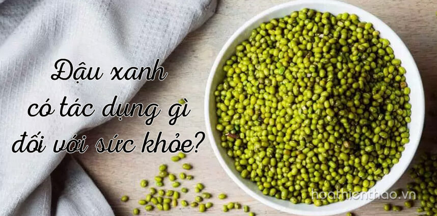 Đậu xanh có tác dụng gì đối với sức khỏe - Hoa Thien Thao Cosmetics