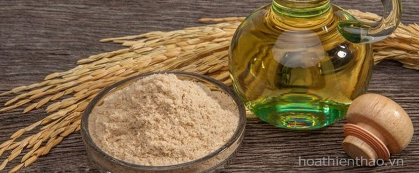 DIY công thức làm trắng da với bột yến mạch
