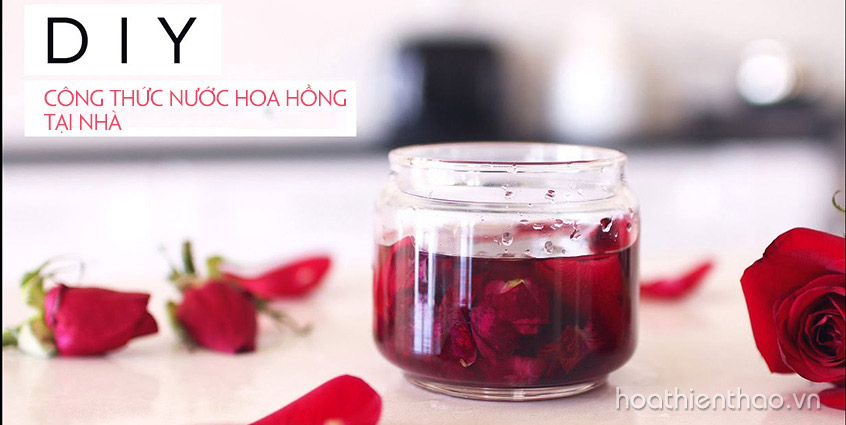 DIY công thức nước hoa hồng tại nhà