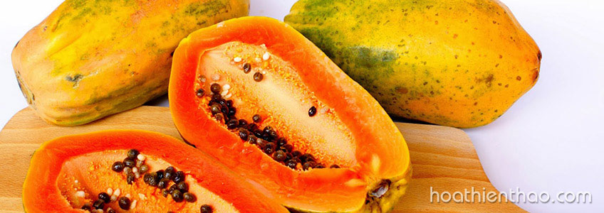 Dưỡng trắng da toàn thân với đu đủ sau 1 tháng