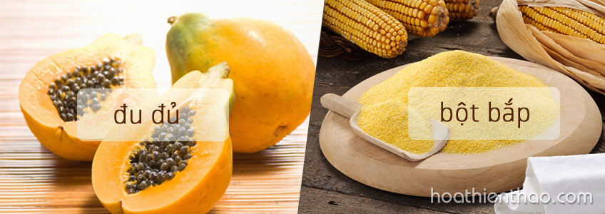 Dưỡng trắng da toàn thân với đu đủ sau 1 tháng