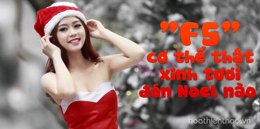 F5 cơ thể thật xinh tươi đón Noel nào  - Hoa Thien Thao Cosmetics