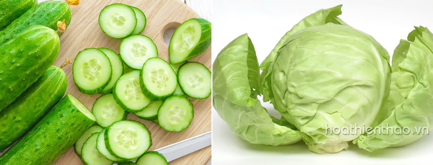 F5 cơ thể thật xinh tươi đón Noel nào  - Hoa Thien Thao Cosmetics