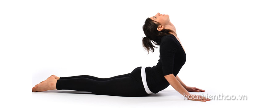 Giảm mỡ bụng hiệu quả với Yoga