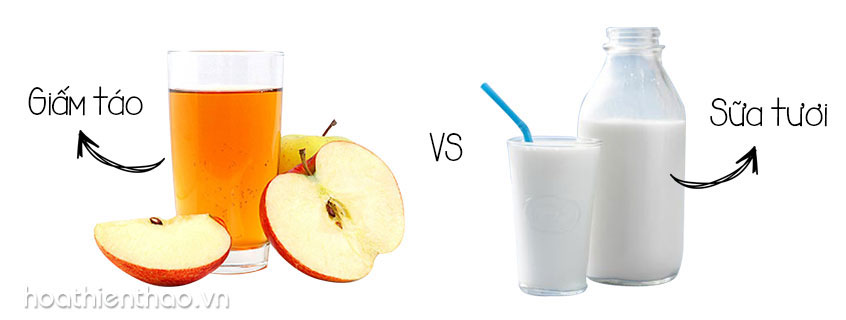 Hướng dẫn làm mặt nạ dưỡng da ban đêm