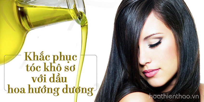 Khắc phục tóc khô sơ với dầu hoa hướng dương