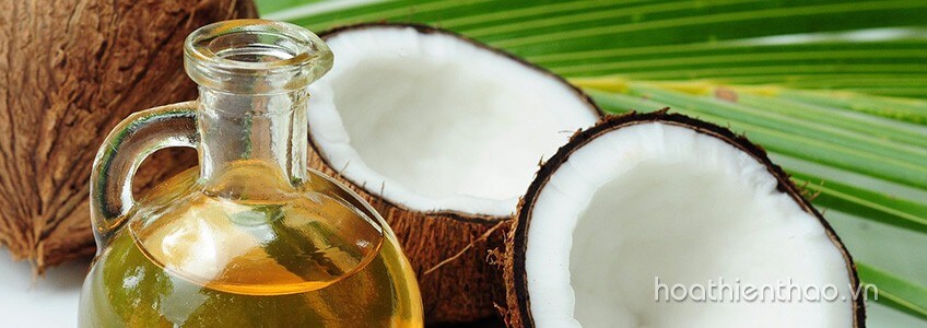 Khám phá những cách làm rậm lông mày cho nam - Hoa Thiên Thảo