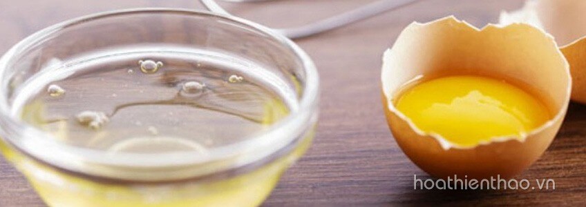 Khám phá những cách làm rậm lông mày cho nam - Hoa Thiên Thảo