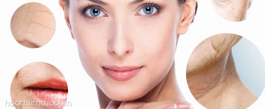 Lợi ích của collagen đối với da