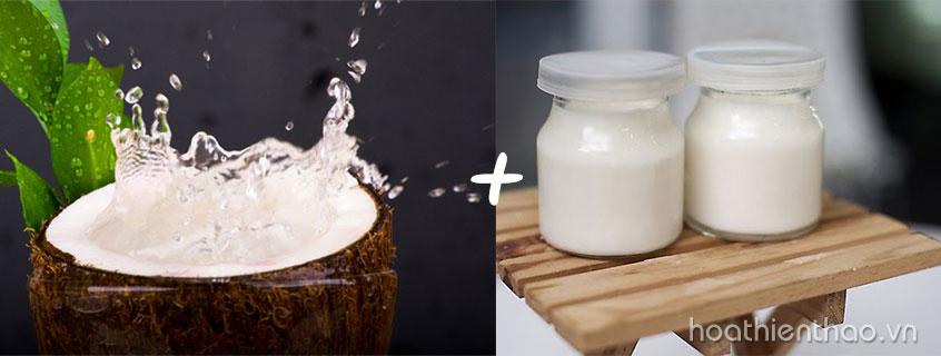 Sữa chua và nước dừa là công thức chống lão hóa da tuyệt vời