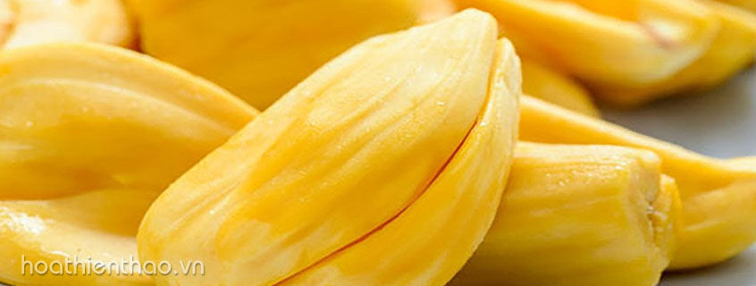 Mít rất giàu dưỡng chất có lợi cho sắc đẹp làn da