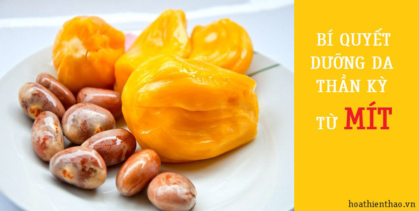 Cách làm đẹp da từ hạt mít hiệu quả bất ngờ