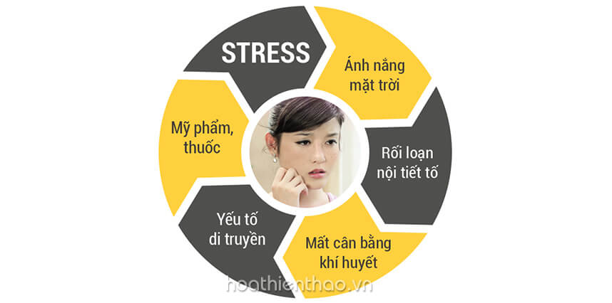 Lý do dùng viên uống trị nám trắng da? Hoa Thiên Thảo