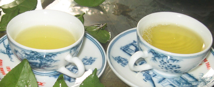 Mách bạn cách làm đẹp với chè xanh - Hoa Thiên Thảo