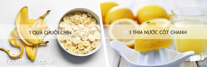 Mặt nạ chuối cho da khô vào mùa đông