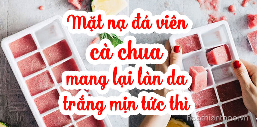 Mặt nạ đá viên cà chua mang lại làn da trắng mịn tức thì - Hoa Thiên Thảo