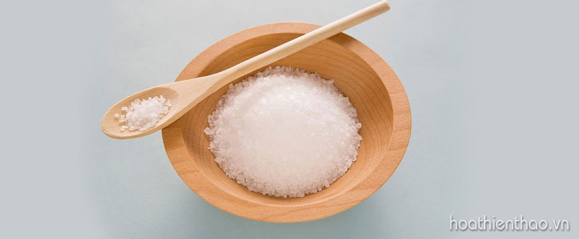 Mẹo giảm mỡ bụng hiệu quả nhờ phương pháp dân gian