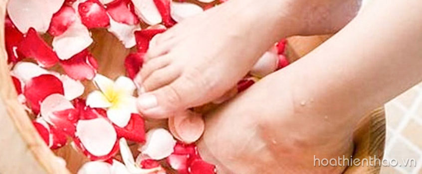 Mẹo trị nứt gót chân hiệu quả tại nhà