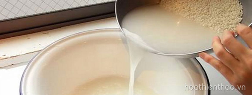 Người Nhật rửa mặt với nước vo gạo để chăm sóc da mỗi ngày