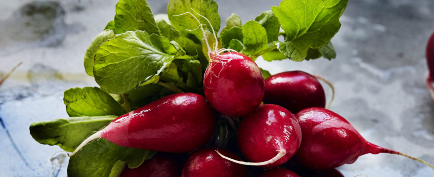 Những tác dụng này của củ cải đỏ - Hoa Thiên Thảo