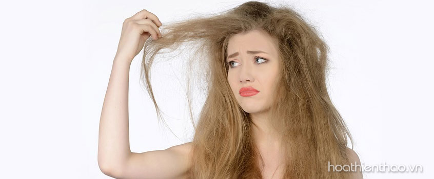 Nhuộm tóc bằng hóa chất dẫn đến tóc khô xơ, gãy rụng