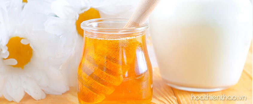 Sữa tươi và mật ong là nguyên liệu cho công thức phục hồi tóc cực kì hiệu quả