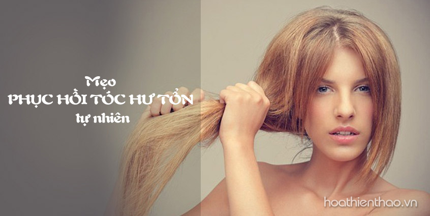 Phục hồi tóc hư tổn với công thức tự nhiên