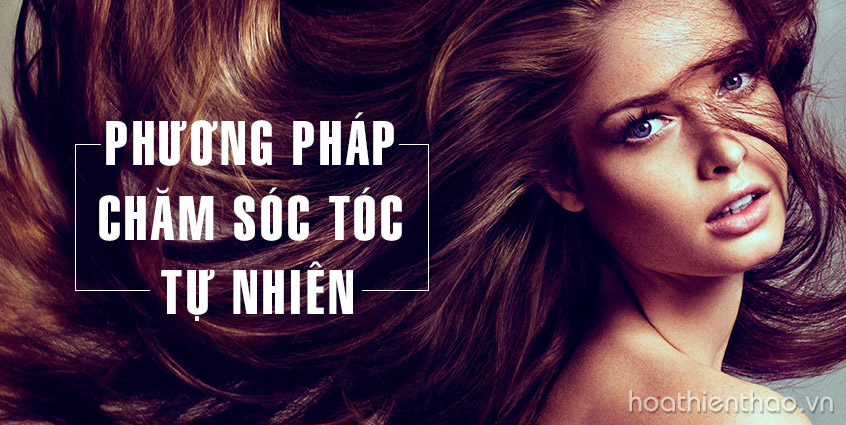 Phương pháp chăm sóc tóc từ nguyên liệu tự nhiên