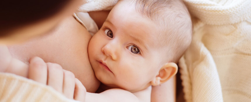 Rau tần ô có tốt cho bà bầu không - Hoa Thien Thao Cosmetics