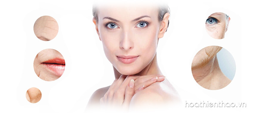 Serum dưỡng trắng da là gì - Hoa Thiên Thảo