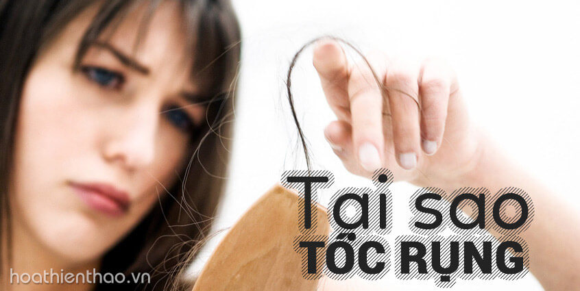Tại sao tôi bị rụng tóc?