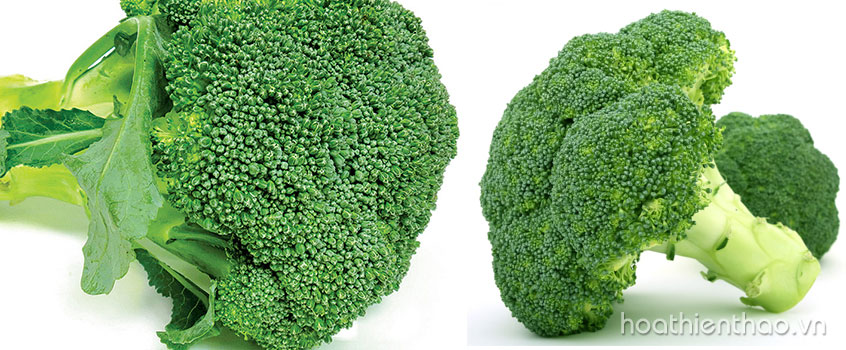 Thành phần Alpha Lipoic Acid có công dụng gì?