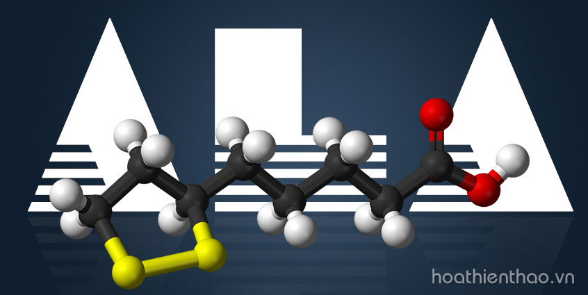 Thành phần Alpha Lipoic Acid có công dụng gì?