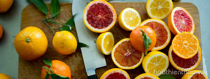 Điểm mặt các thực phẩm dưỡng ẩm cho da khô
