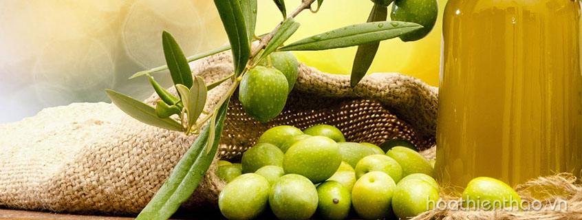 TOP 4 tinh dầu dưỡng da tốt nhất hiện nay bạn nên biết