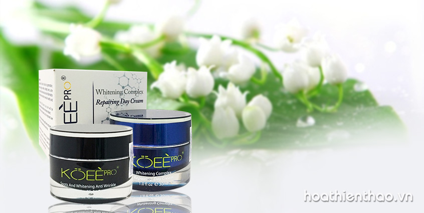 Bộ kem trị nám dưỡng trắng da Koee Pro