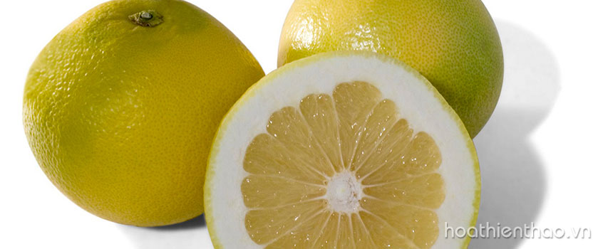 TOP 5 Siêu thực phẩm giúp giảm mỡ bụng hiệu quả