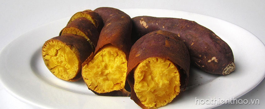 TOP 5 Siêu thực phẩm giúp giảm mỡ bụng hiệu quả