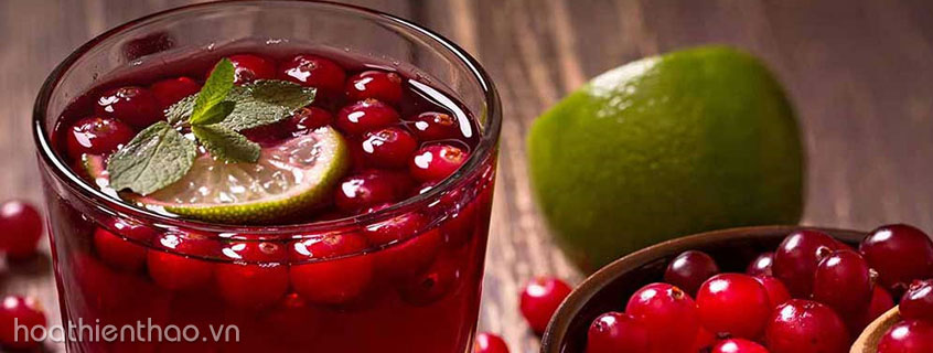 Tự làm detox giải độc cơ thể để giảm cân nhanh