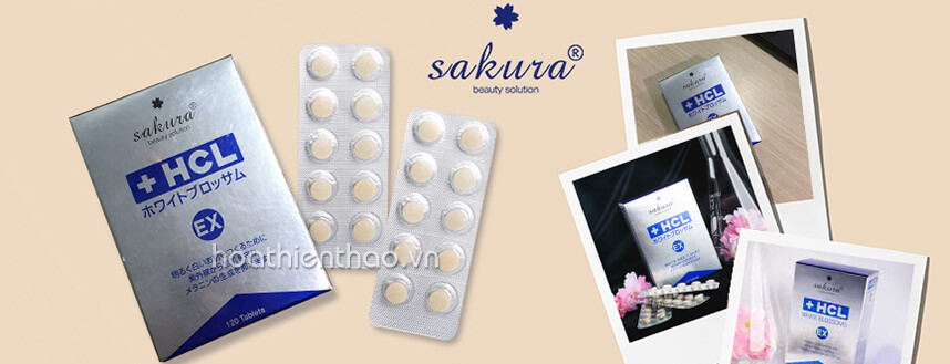 Viên uống trị nám trắng da nào tốt nhất - Hoa Thiên Thảo