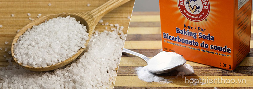 Cách trị mụn đầu đen, mụn trứng cá với Baking Soda