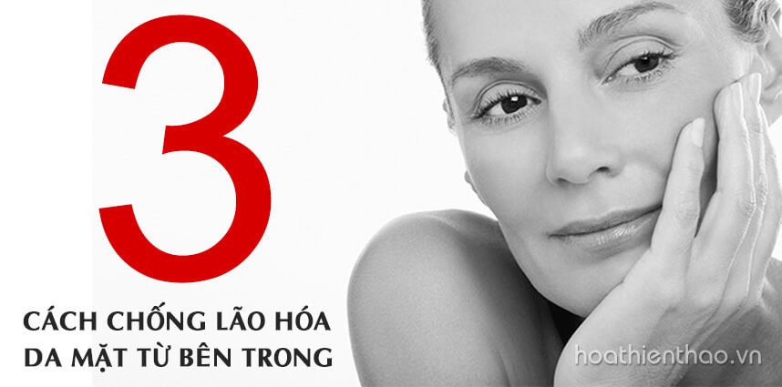 3 cách chống lão hóa da mặt từ bên trong - Hoa Thien Thao