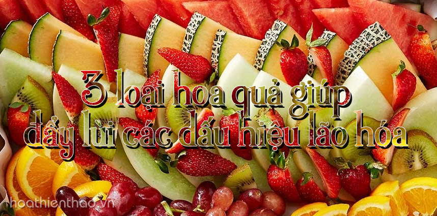 3 loại hoa quả giúp đẩy lùi các dấu hiệu lão hóa - hoathienthaovn