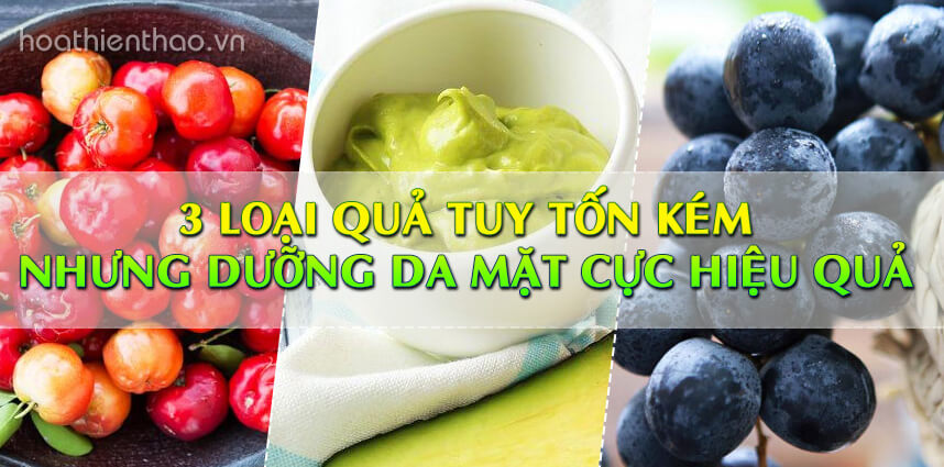 3 loại quả tuy tốn kém nhưng dưỡng da mặt - Hoa Thien Thao